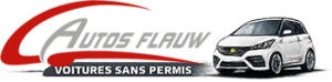 logo-autos-flauw-vsp-moyen